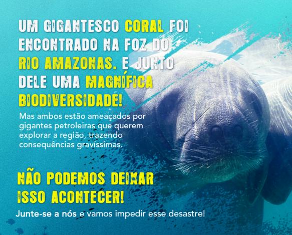 viva-uma-aventura-com-o-greenpeace-na-amazonia