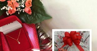 sorteio bolsa e gargantilha